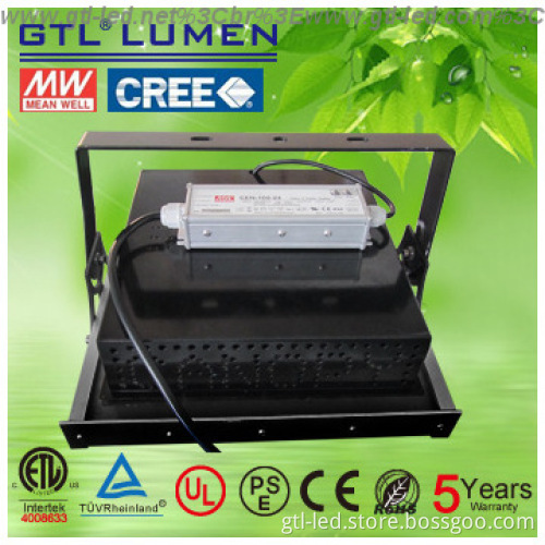Meanwell IP65 5years Warranty LED Canopy Light for Gas station ETL lis